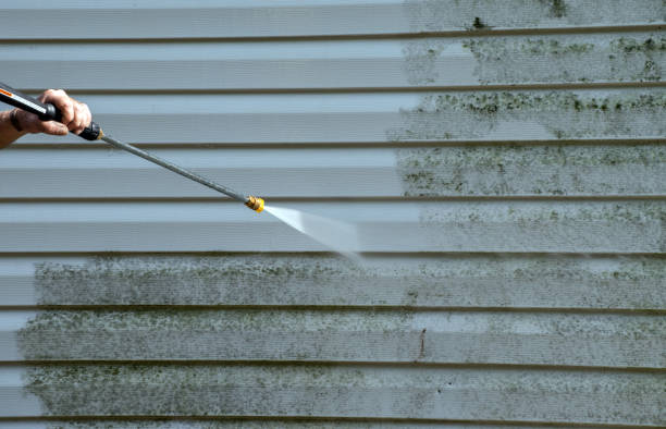 Best Certified Mold Removal  in Lenoir, NC